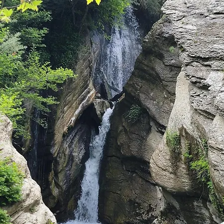 The White 4* Bogove